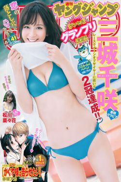 执行法官电视剧免费观看